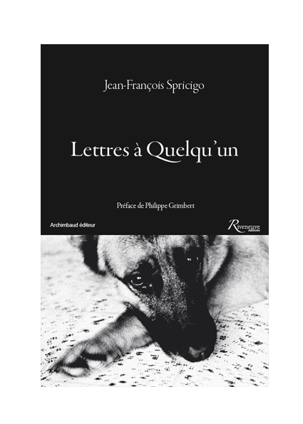Lettres à quelqu'un
