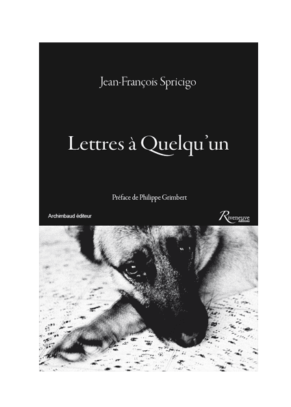 Lettres à quelqu’un