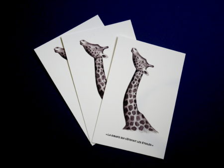 Carte postale "girafe"
