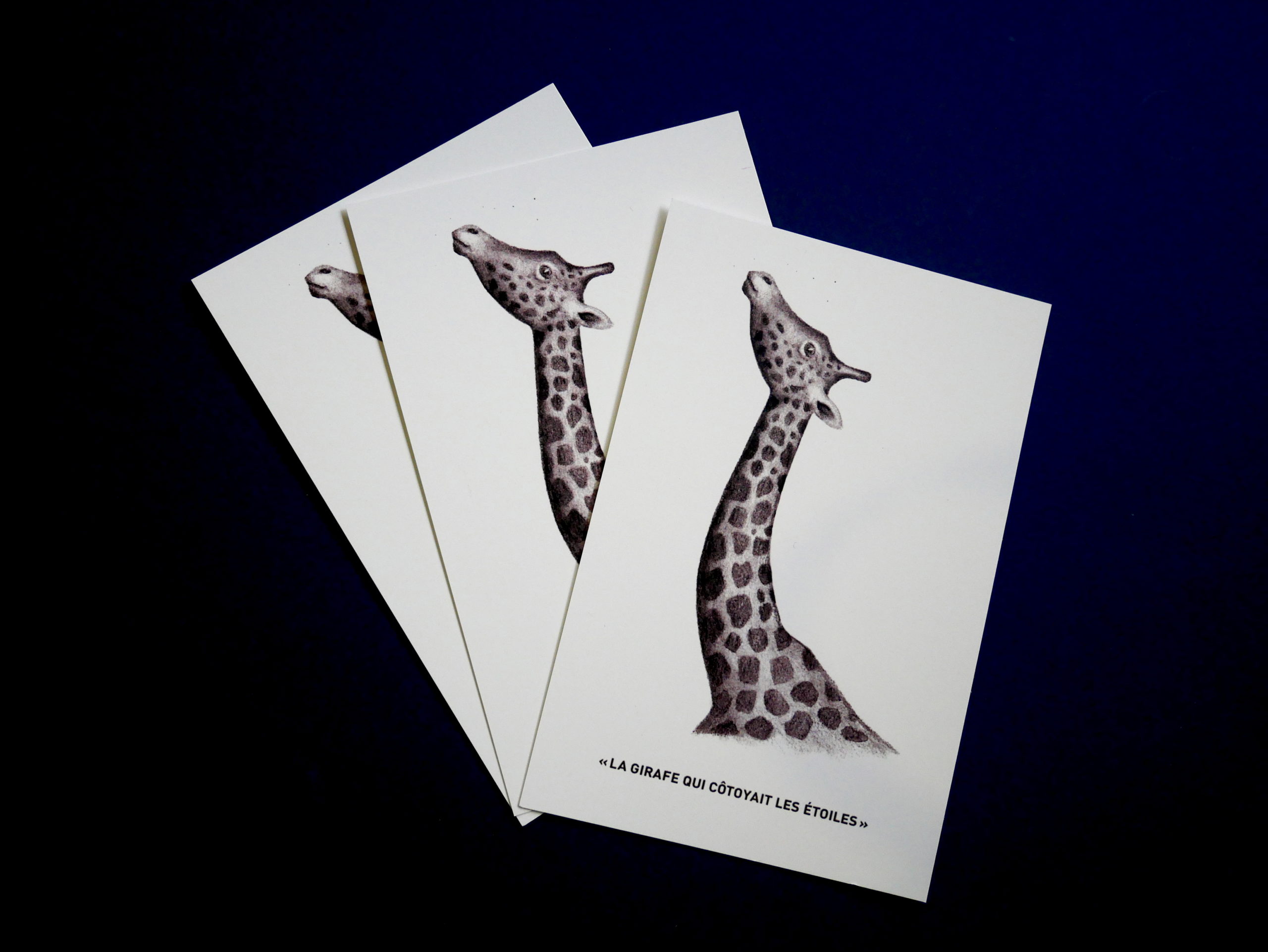 Carte postale « girafe »