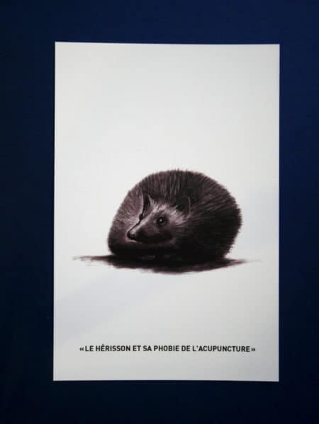 Carte postale "hérisson"