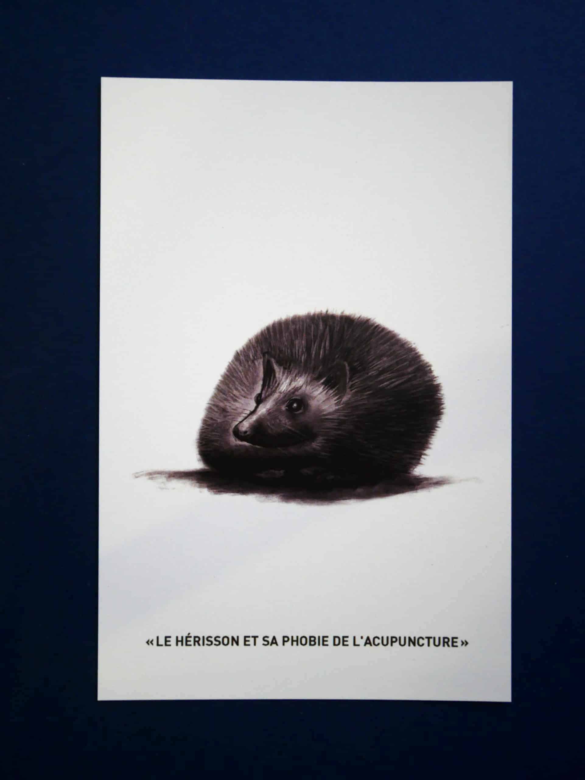 Carte postale « hérisson »